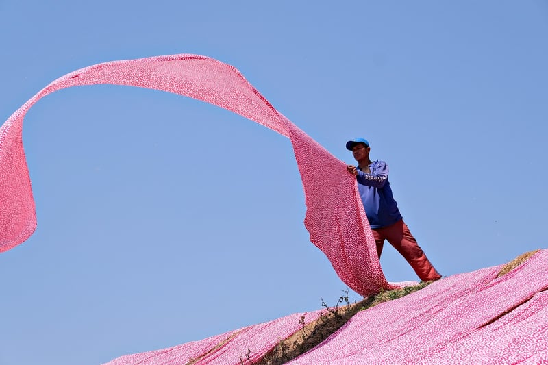 Textile Reuse Techniques